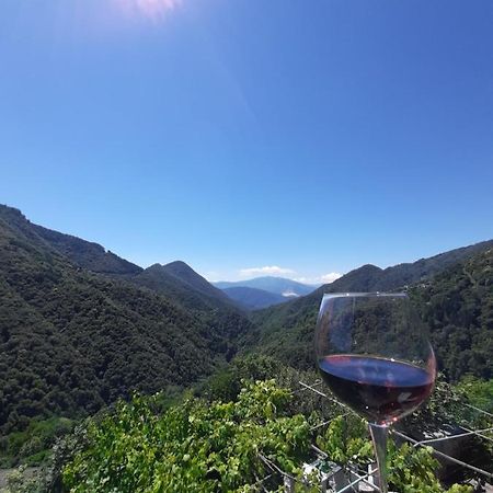 B&B La Locanda Del Cinghiale Aurano Kültér fotó