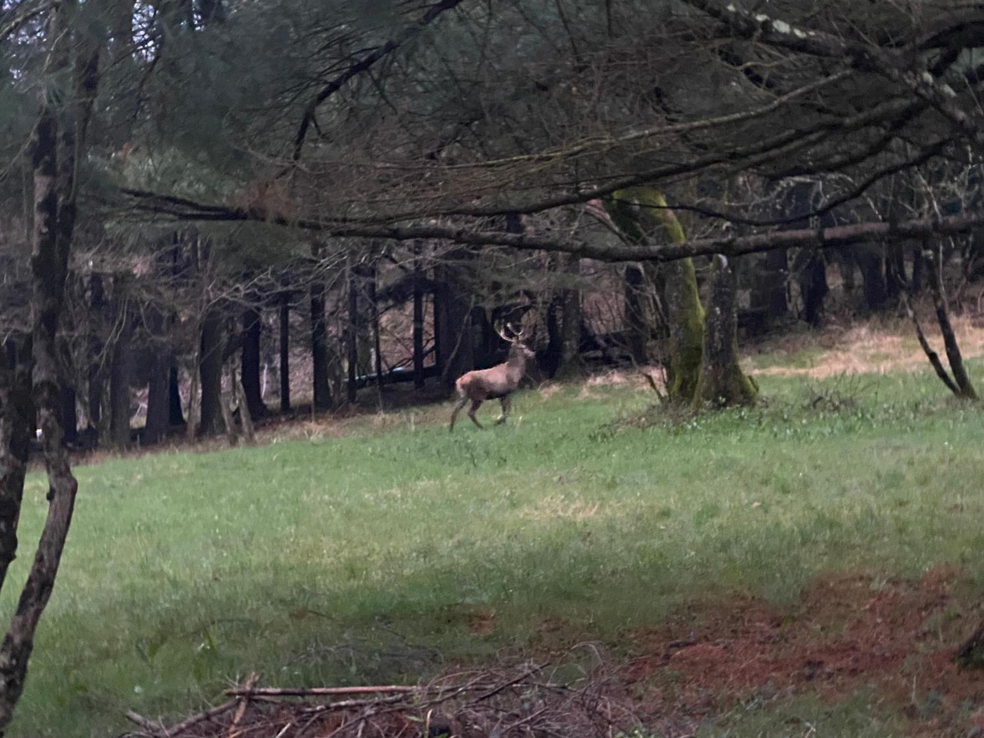 B&B La Locanda Del Cinghiale Aurano Kültér fotó