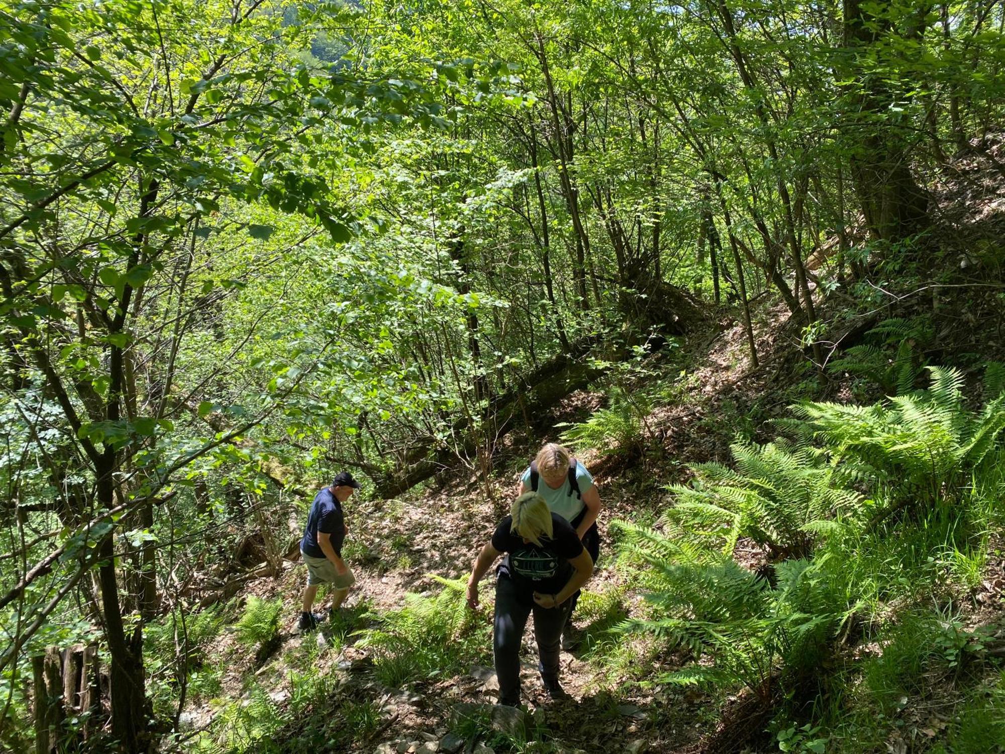 B&B La Locanda Del Cinghiale Aurano Kültér fotó