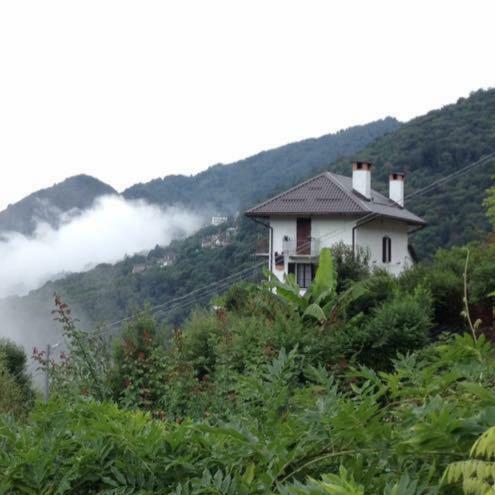 B&B La Locanda Del Cinghiale Aurano Kültér fotó